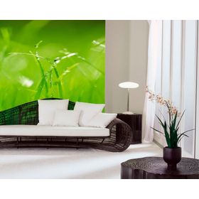 Papel fotomural 8886 verde Komar