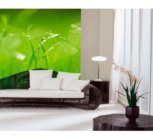 Papel fotomural 8886 verde Komar