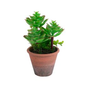Planta artificial Suculenta 20 cm