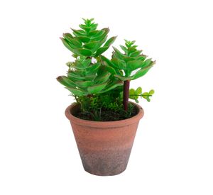 Planta artificial Suculenta 20 cm