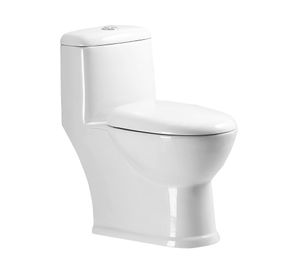 WC one piece piso 30 cm botón Dual cierre suave 2004 blanco