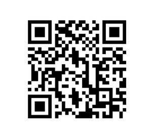 Secador de pelo 2000W SG-3025S Siegen