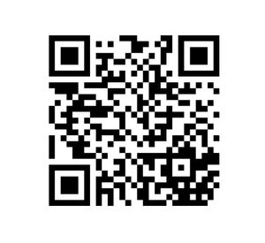 Spa para pies 4 litros SG-1850 Siegen