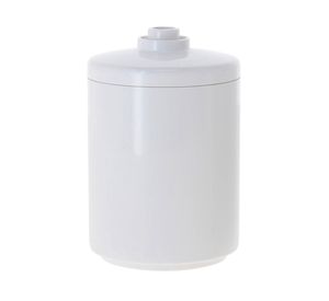 Repuesto filtro declorador ducha Rep Versa blanco