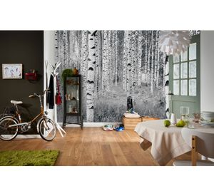 Fotomural Woods B&W 368x248 cm