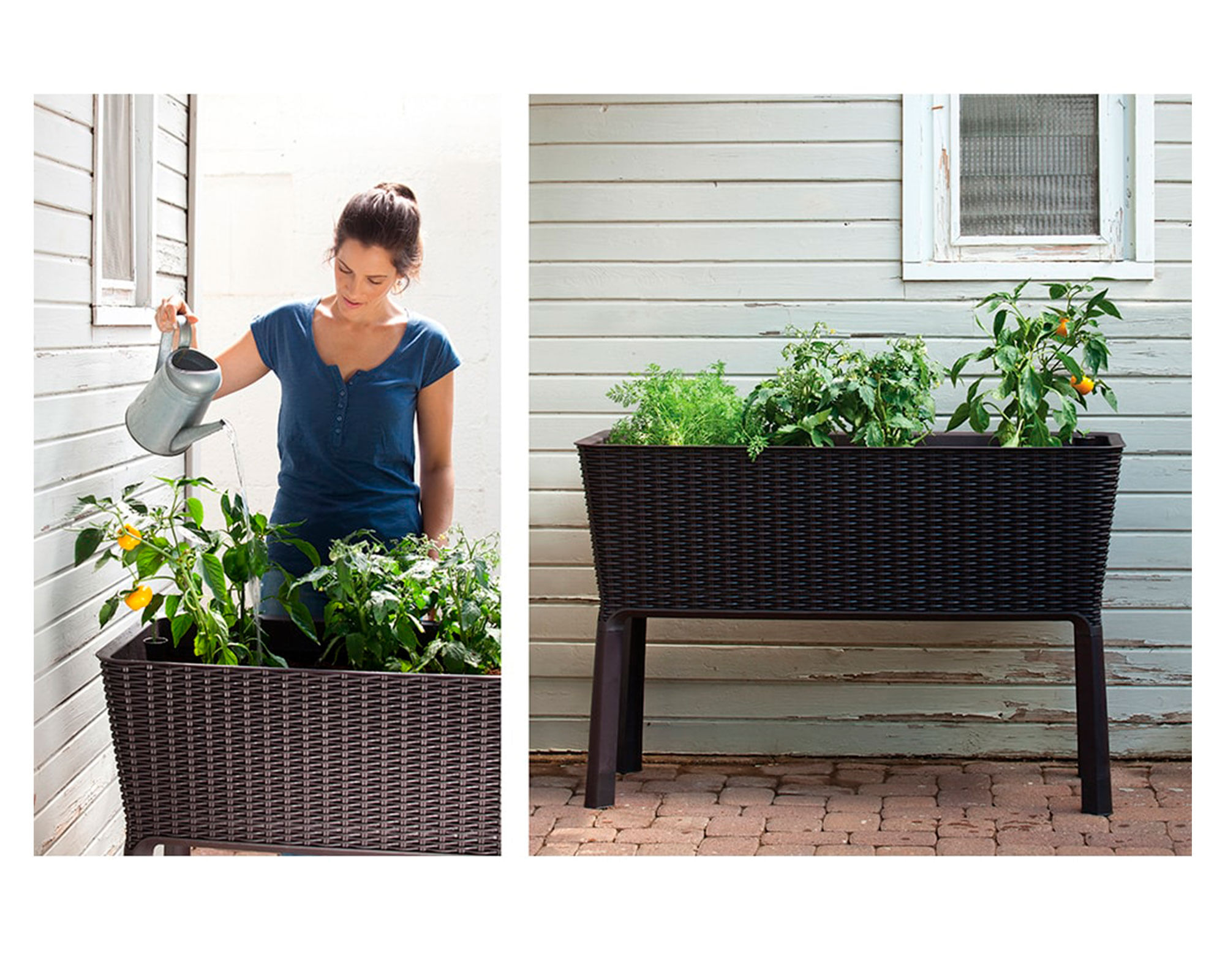 Jardinero Macetero Easy Grow 76x114x49 cm Keter