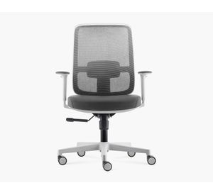 Silla escritorio Lotto gris claro