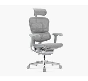 Silla de escritorio Ergohuman Elite 2 gris claro
