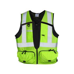 Geólogo ejecutivo pro verde