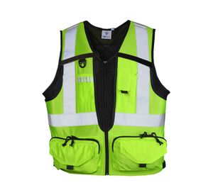 Geólogo ejecutivo pro verde