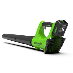 Aspiradora Soplador inalambrico 24v+kit verde 24V