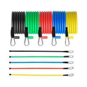 Bandas elásticas de resistencia 20JXP493 surtido