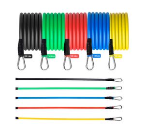 Bandas elásticas de resistencia 20JXP493 surtido