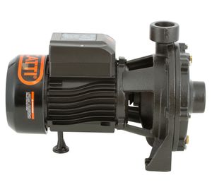 Bomba superficie centrífuga 1 1/4'' 1,5 HP 2SGPM25/140 Bercatti