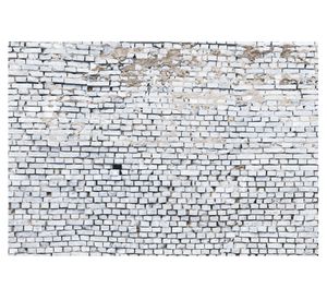 Fotomural Ladrillo Blanco 368x254 cm