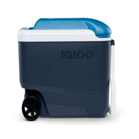 Cooler 38 litros Roller Maxcold gris