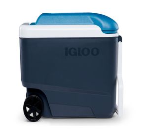 Cooler 38 litros Roller Maxcold gris