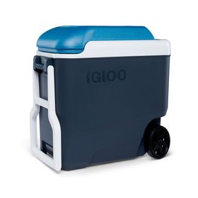 Cooler 38 litros Roller Maxcold gris