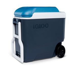 Cooler 38 litros Roller Maxcold gris