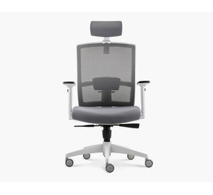 Silla de escritorio Taylor gris claro