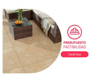 Visita de Factibilidad de Cerámica