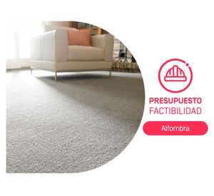 Visita de Factibilidad de Alfombra