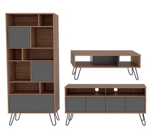 Rack TV 55'' + biblioteca + mesa de centro Vassel miel/plomo TuHome