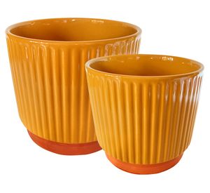 Set macetero enlozado mostaza M+L