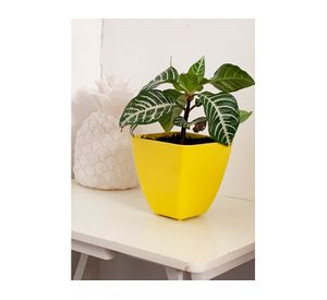 Macetero Biodegradable Bamboo cuadrado amarillo 12.4x13.3x13.3 cm 2 un.