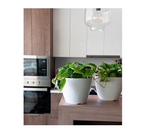 Set 2 maceteros con plato Biodegradable Bamboo Actual blanco