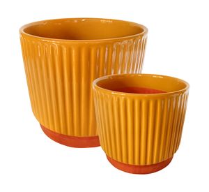 Set macetero enlozado mostaza S+L