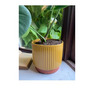 Set macetero enlozado mostaza S+L