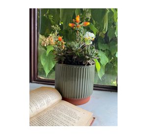 Set 2 maceteros enlozados verde