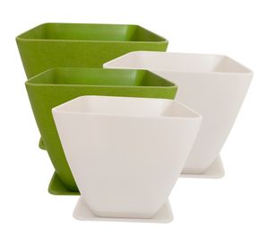 Set 4 maceteros con plato Biodegradable Bamboo cuadrado blanco/verde