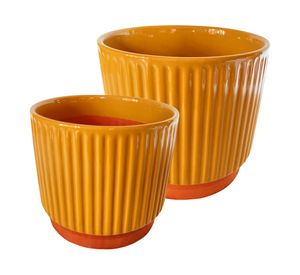 Set macetero enlozado mostaza S+M