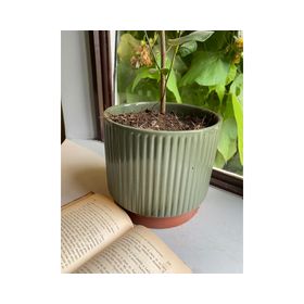 Macetero Enlozado oliva 2 piezas Decogreen