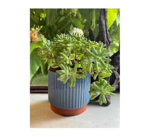 Macetero enlozado azul 3 piezas