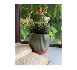 Macetero 17x15 cm Enlozado oliva Decogreen