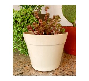 Macetero 10.7x13.7x13.7 cm blanco Decogreen