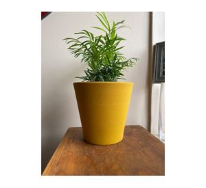 Macetero 18x20x20 cm Arena Alto amarillo Decogreen