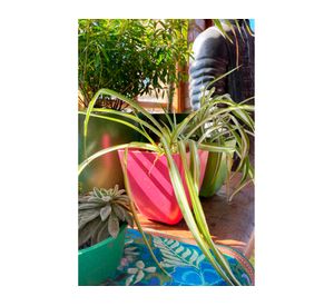 Set 2 maceteros Biodegradable Bamboo cuadrado coral