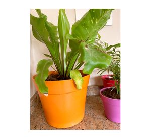 Set 2 maceteros Bio Bamboo Clásico terracota 17x25 cm