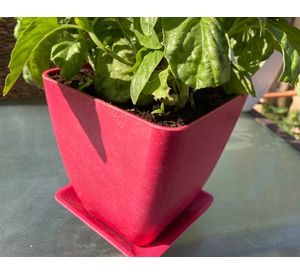 Set 2 maceteros con plato Biodegradable Bamboo cuadrado rosado