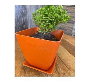 Macetero con plato Biodegradable Bamboo cuadrado naranjo 12.4x13.3x13.3 cm