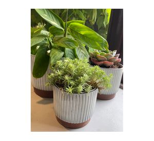 Set macetero enlozado blanco S+L