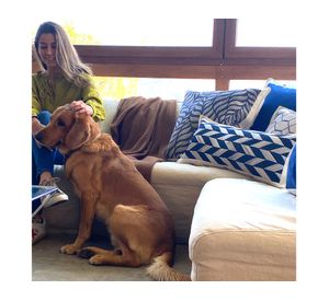 Cojín decorativo Presencia 2 velvet multicolor 60x60 cm