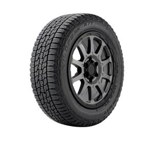 Neumático R20 255/50 WPATTR