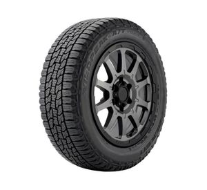 Neumático R18 245/60 WPATTR