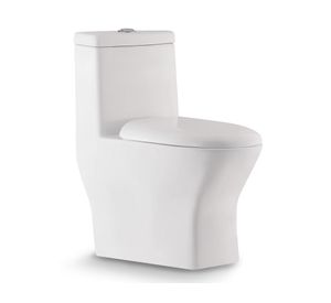 WC one piece piso 30.5 cm botón dual asiento cierre suave SD1077 blanco