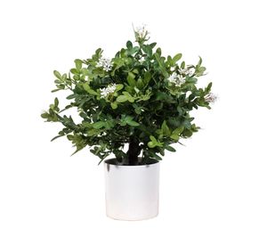 Planta artificial Murraya 45 cm
